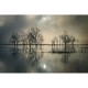 MARBURG | Lake's Secret Art